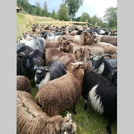 Nordfjordcabins Red *