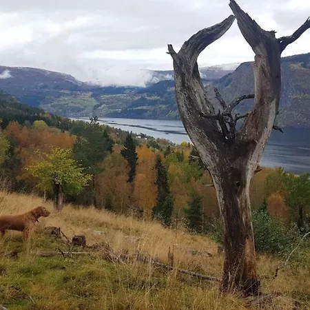 Nordfjordcabins Red