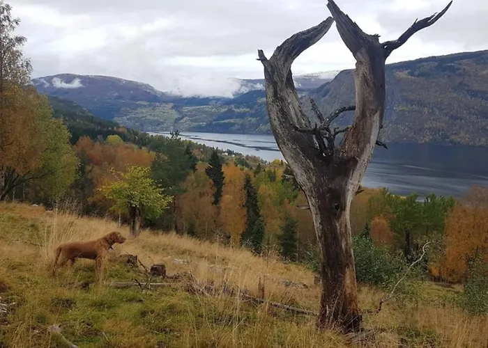 Nordfjordcabins Red